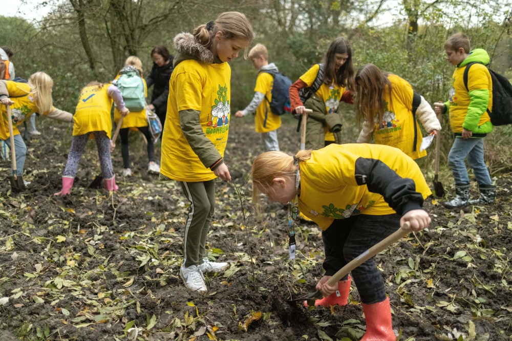 Stichting Nationale boomfesstdag