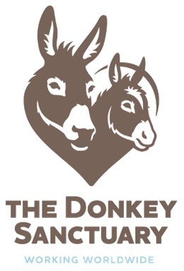 The Donkey Sanctuary