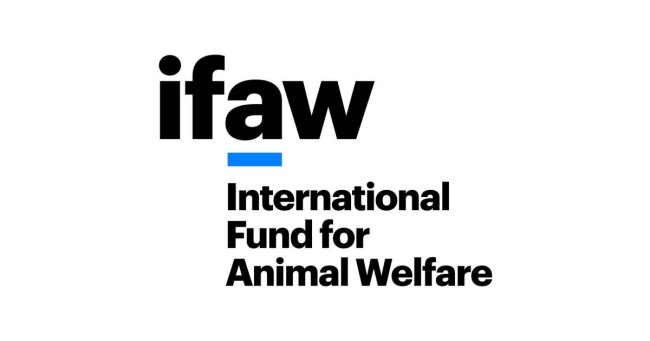IFAW - International Fund for Animal Welfare, St.
