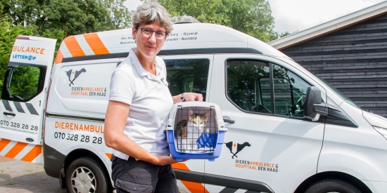 Dierenambulance Den Haag zoekt dappere dierenredders en coördinatietalenten