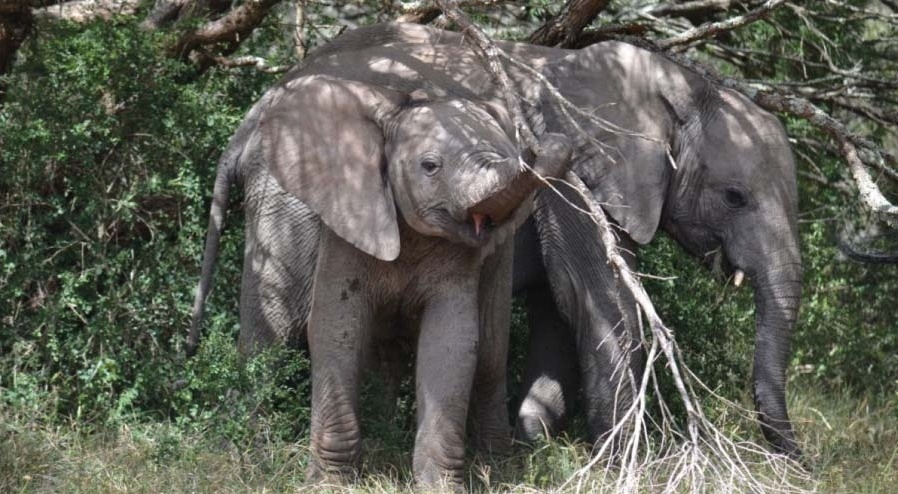 De kracht van de verscheidenheid