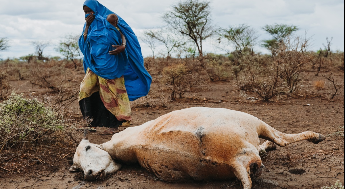 Oekraïne-crisis treft meest kwetsbaren wereldwijd