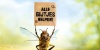 Alle Bijtjes Helpen: Red de Bijen met de Bijenstichting!