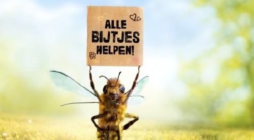 Alle Bijtjes Helpen: Red de Bijen met de Bijenstichting!