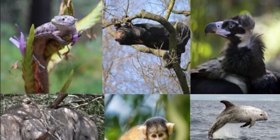 GlobeGuards Van verwondering via bewondering naar respect