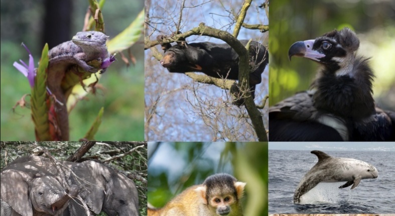 GlobeGuards Van verwondering via bewondering naar respect