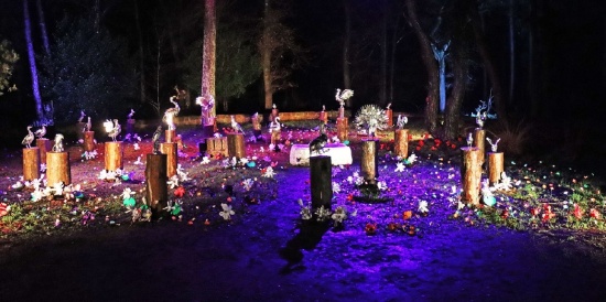 Museumpark Orientalis samenkomen in een verdeelde wereld