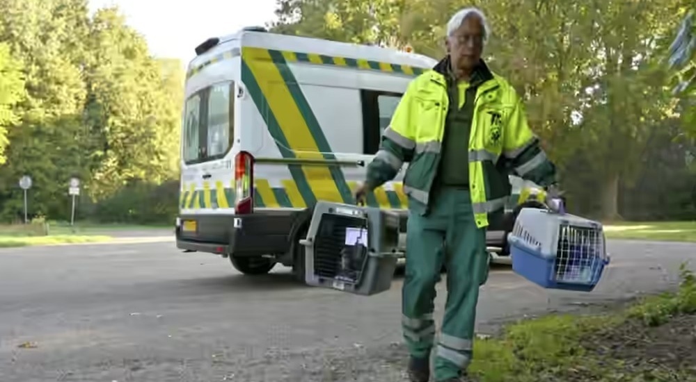 Onze vrijwilligers, hebben een passie voor dieren én Amsterdam