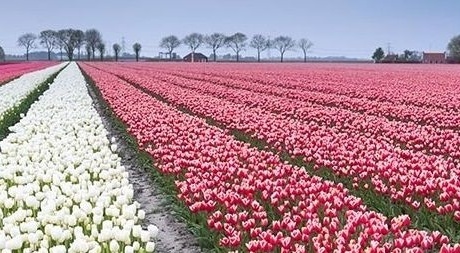 Hanneke Lenkens Nederland Filantropieland