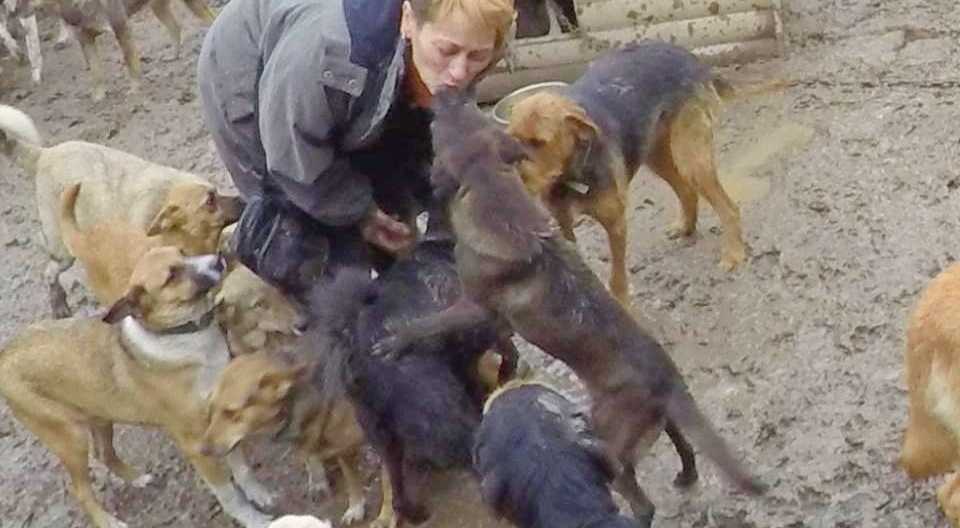 Krasi woont met 200 dieren in een bouwval.