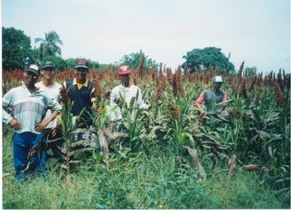 SCHOLIEREN BOERDERIJPROJECT