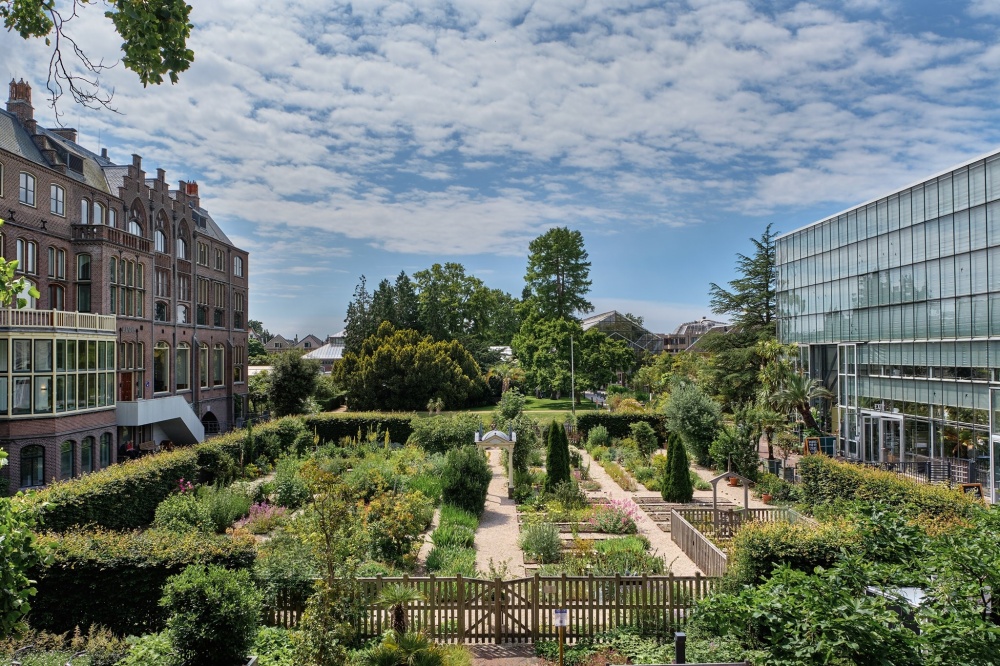 Hortus Botanicus Leiden