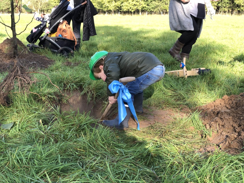 jongeren planten een boom