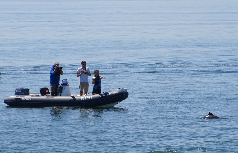 Foto ID team aan het werk op Oosterschelde (M. Kaldenberg) 